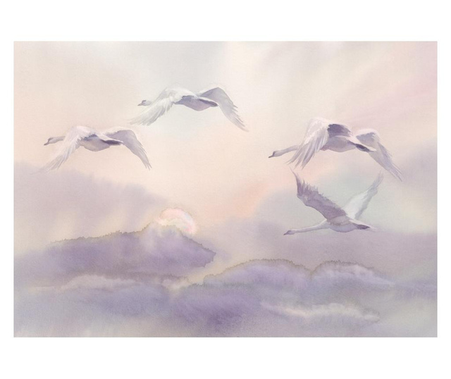 Fototapeta Flying Swans 210x300 cm