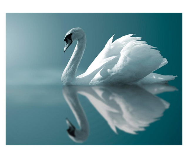 Foto tapeta White Swan 154x200 cm