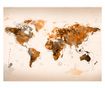 Foto tapeta World In Brown Shades 231x300 cm