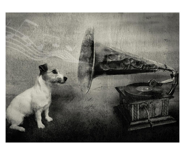Foto tapeta Dog'S Melodies 270x350 cm