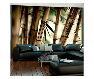 Fototapeta Fog And Bamboo Forest 154x200 cm