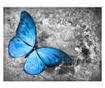 Fototapeta Blue Butterfly 231x300 cm