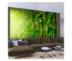 Foto tapeta Jungle Bamboo 154x200 cm