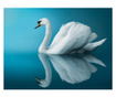 Fototapeta Swan Reflection 154x200 cm