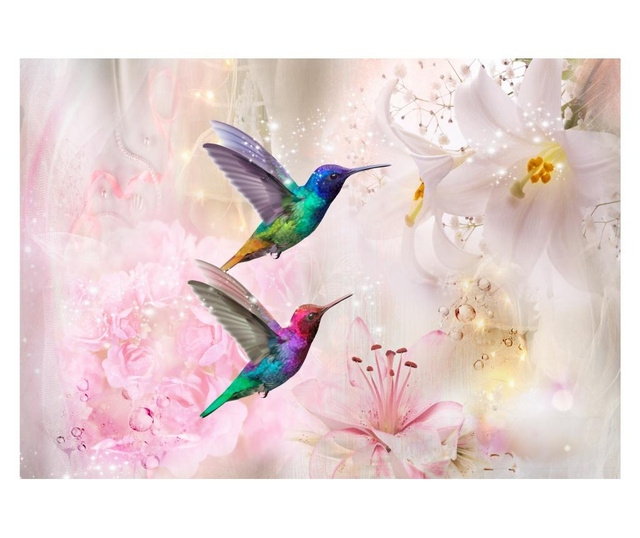 Foto tapeta Colourful Hummingbirds Pink 210x300 cm
