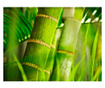 Fototapeta Bamboo Detail 154x200 cm