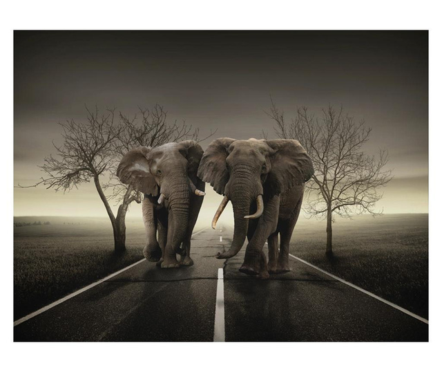 Fototapeta City Of Elephants 309x400 cm