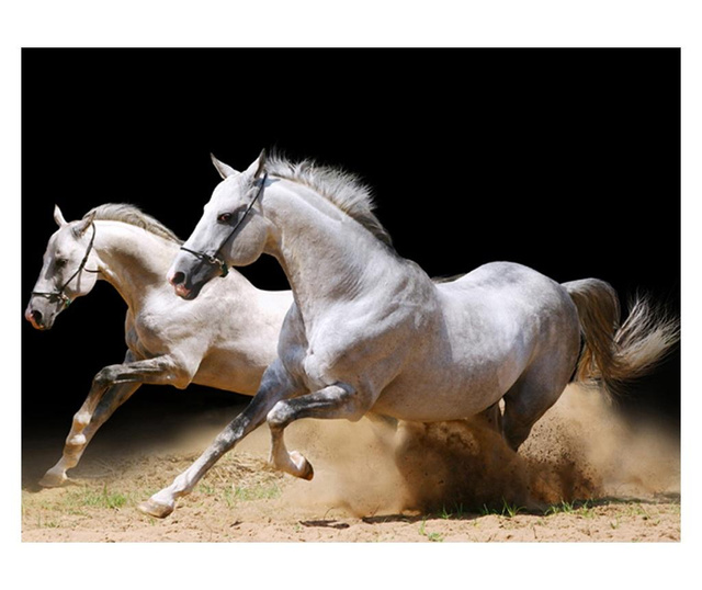 Foto tapeta Galloping Horses On The Sand 154x200 cm