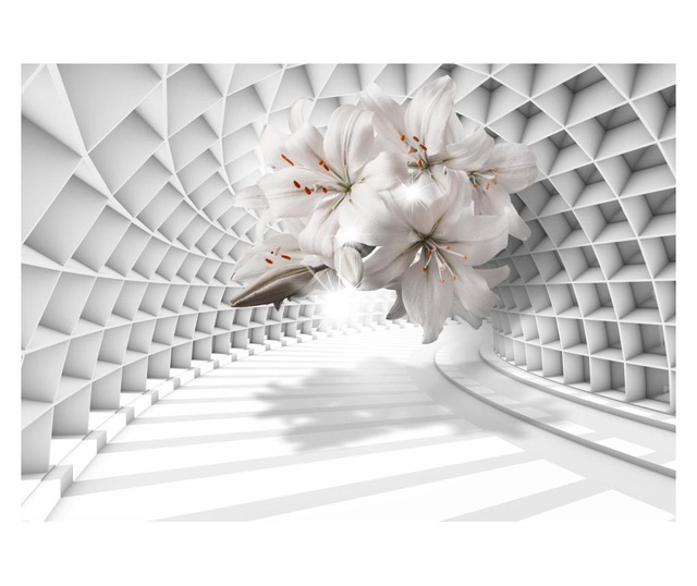 Fototapeta Flowers In The Tunnel 210x300 cm