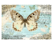Fototapeta Postcard With Butterfly 245x350 cm