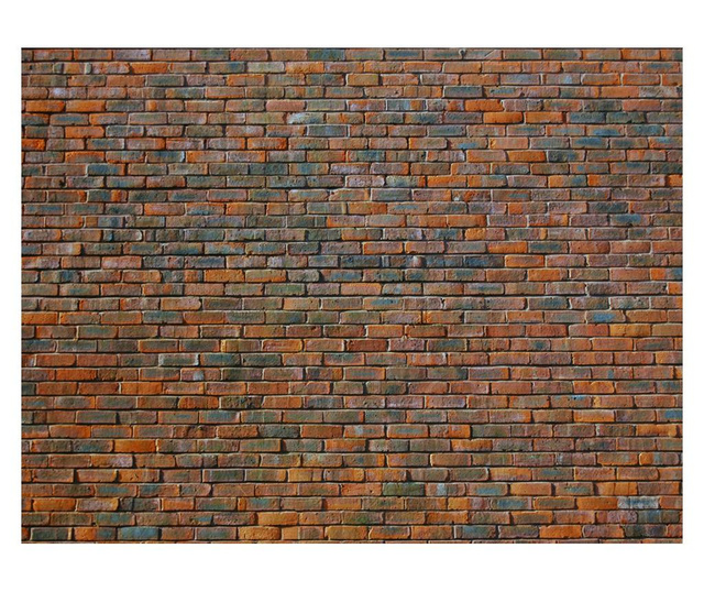 Foto tapeta Brick Wall 154x200 cm