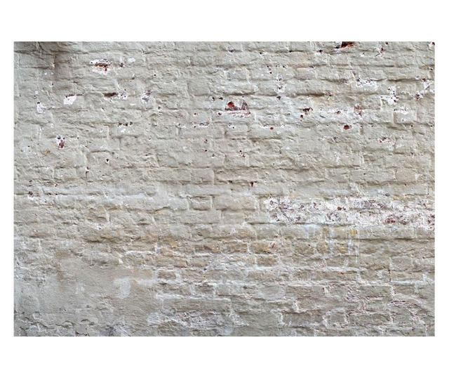 Foto tapeta Hidden Harmony 245x350 cm