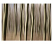 Forest Fotótapéta 154x200 cm