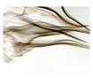 Fototapeta Smoke Abstract 193x250 cm