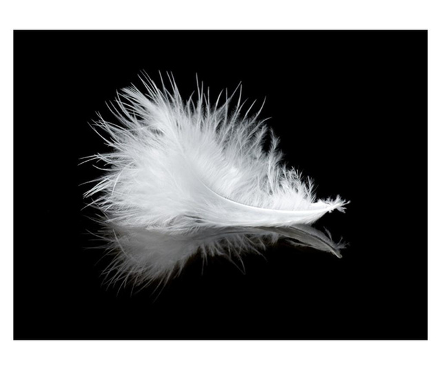 Foto tapeta White Feather 309x400 cm