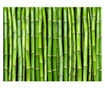 Fototapeta Bamboo Wall 309x400 cm