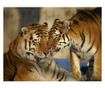 Foto tapeta Unconditional Love 309x400 cm