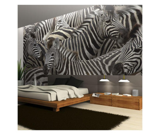 Fototapeta Herd Of Zebras 309x400 cm