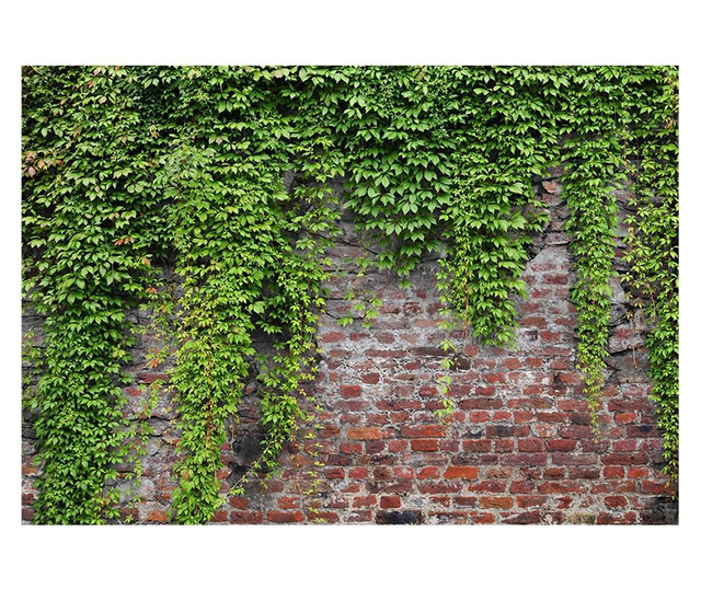 Brick And Ivy Fotótapéta 70x100 cm