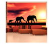 Foto tapeta Elephants: Family 309x400 cm