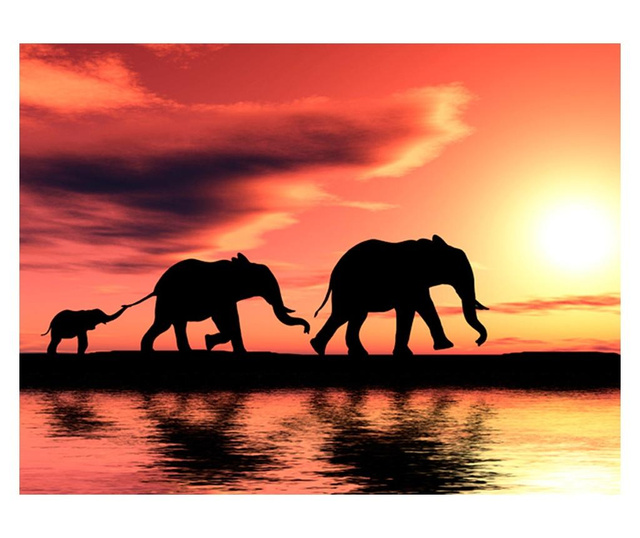 Foto tapeta Elephants: Family 309x400 cm