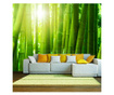 Fototapeta Sun And Bamboo 309x400 cm