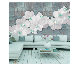 Foto tapeta Orchids With Pearls 245x350 cm