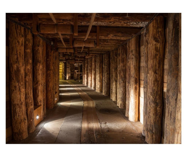 Fototapeta Wooden Passage 309x400 cm