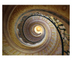 Fototapeta Decorative Spiral Stairs 309x400 cm