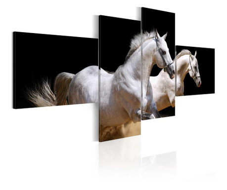 Set 4 slik Animal world- white horses galloping