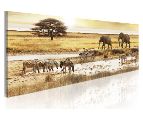 Slika Africa: at the waterhole