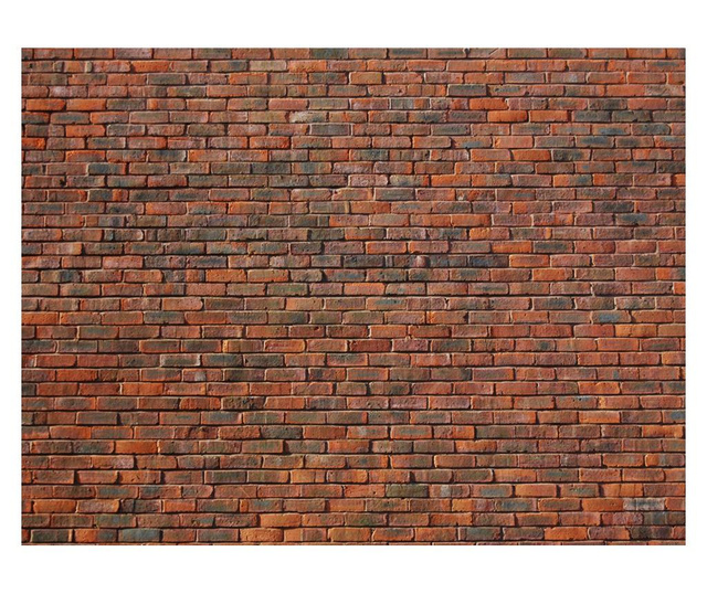 Foto tapeta Design: Brick 309x400 cm