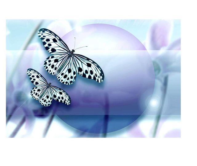 Fototapeta Planet Of Butterflies 270x400 cm