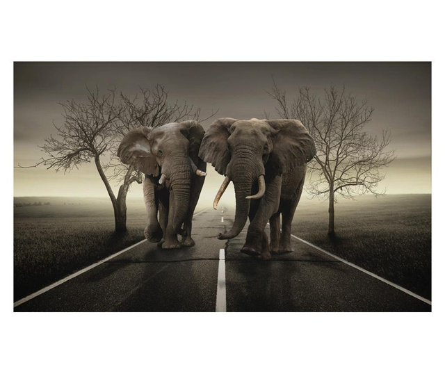 Fototapeta City Of Elephants 270x450 cm