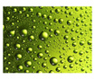 Foto tapeta Water Drops On The Bottle Of Beer 309x400 cm