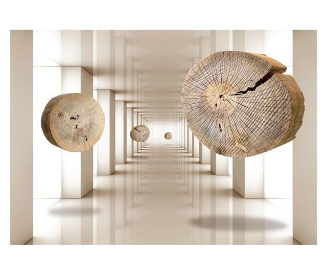 Foto tapeta Flying Discs Of Wood 210x300 cm