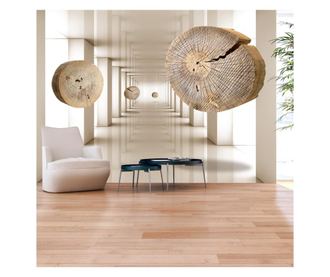 Foto tapeta Flying Discs Of Wood 210x300 cm