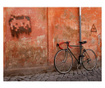 Fototapeta Bicycle 309x400 cm