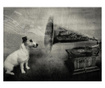 Fototapeta Dog'S Melodies 309x400 cm