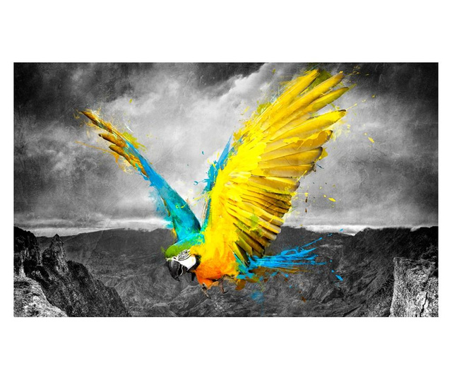 Fototapeta Exotic Parrot 270x450 cm