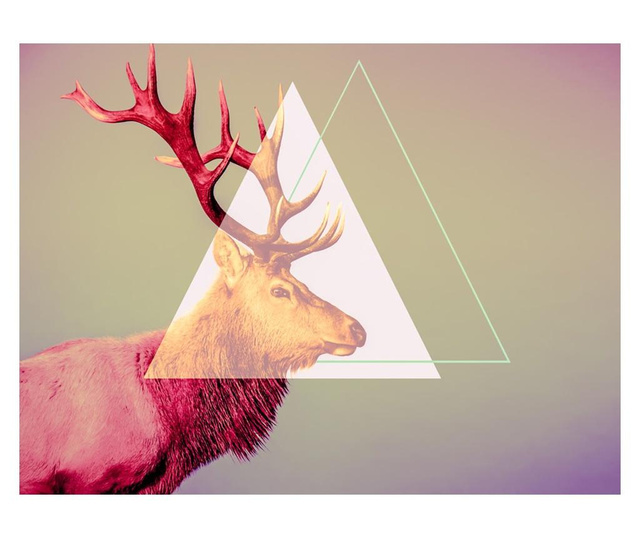Deer Graphic Pattern Fotótapéta 309x400 cm