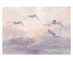 Foto tapeta Flying Swans 280x400 cm