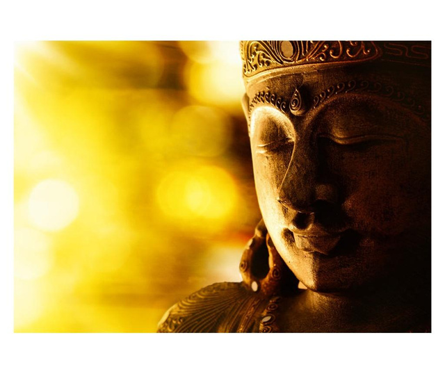 Foto tapeta Buddha Enlightenment 210x300 cm