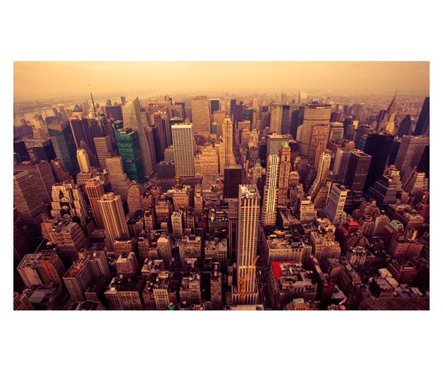 Fototapeta Bird Eye View Of Manhattan, New York 270x450 cm
