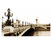 Foto tapeta Alexander Iii Bridge, Paris 270x450 cm