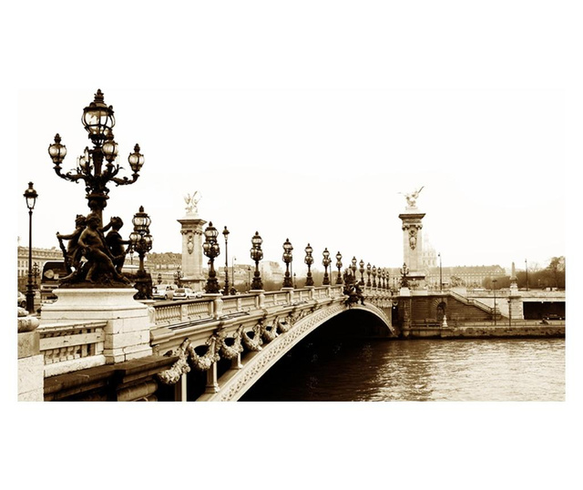 Fototapeta Alexander Iii Bridge, Paris 270x450 cm