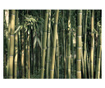 Foto tapeta Bamboo Exotic 210x300 cm