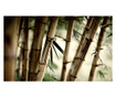 Fototapeta Fog And Bamboo Forest 270x450 cm