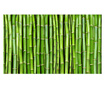 Foto tapeta Bamboo Wall 270x450 cm