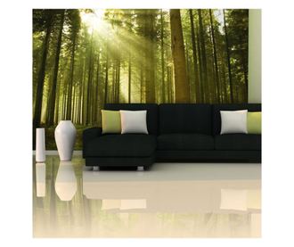 Foto tapeta Pine Forest 270x450 cm